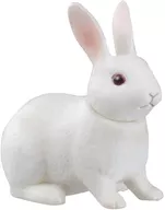 Conejo "Ania Demarquía 2 Animal Children's Collection"