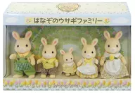 はなぞのウサギファミリー 「シルバニアファミリー」 福岡シルバニアガーデン限定