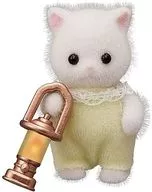 5.波斯貓的嬰兒和提燈