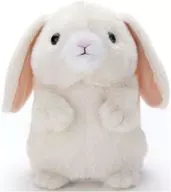 Anexo : Lista de episódios de Mimicry Pet Rop