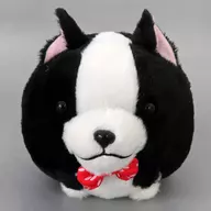 老板
