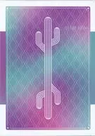 CACTUS DESERT CASINO PLAYING CARDS(トランプ) SKY SHADES