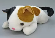 三毛猫 ごろりんニャンちゃん 光センサーサウンドアクション