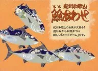 魚魚拼盤紀州和歌山版