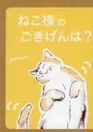 ねこ様のごきげんは?
