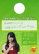 AKB48 チュッパチャプス袋 峯岸みなみ [セブンイレブン×AKB48フェア]