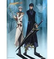 桃矢 & 雪兎 TSUBASA: RESERVoir CHRoNiCLE Clear Memories