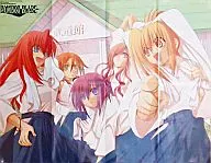 BAMBOO BLADE ポスター 2008 ヤングガンガン 2月15日号 No.04 特別付録