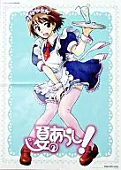 両面ポスター 上賀茂潤/ユーフォルビア・マルギナタ・白雪 「夏のあらし!/まなびや」 ガンガンJOKER 2009年6月号特別付録