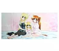 Mama and Vivio microfiber towel "Magical Girl Lyrical NANOHA Strikers" C72 goods
