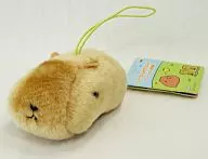 Capybara-san Big Chibi Fluffy Mascot ~ prairie's Appearance ~ "Capybara-san"