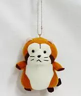 3. Rascal Animal mascote "World Masterpiece Theatre Araikuma Rascal"