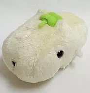 Mr. White, the mascot, "Mr. Capibara,"