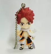 ナツ 「でふぉめmini フェアリーテイル」