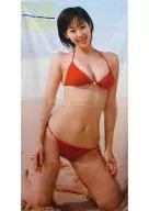 井上和香 バスタオル ヤングマガジン誌上通販限定