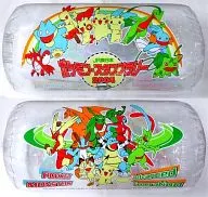 Premio "JR East Pokémon pokémon Stamp Rally 2004"