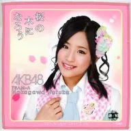 仲川遥香(AKB48) 推しタオル 「桜の木になろう」