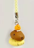 Capybara con raíces (color crema) "Capybara san ~ otro ~ Nagoya Cochin ~" sólo en Nagoya