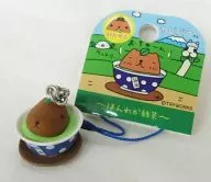 "Capybara san ~ Honwaka Green Tea ~" con raíces de Capybara san sólo en Shizuoka