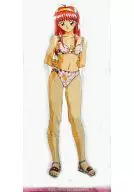 藤崎詩織(泳裝)和刺激浴巾