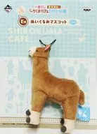 Rama-san Plush toy mascot "Ichiban KUJI Limited Time! Shirokuma Cafe Open ★" E prize