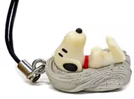 Snoopy (Nagano / Shinshu Soba) Nationwide delicious accessories 2nd "Snoopy" PEPSI NEX on-pack campaign