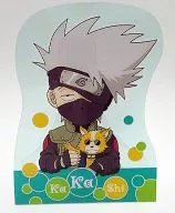 Hataketakekashi&Akino迷你STAND POP