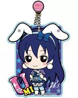 Sono Tomi Unreeled Acrylic Pass Case 「 Love Live! 」
