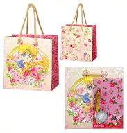 Sailor Moon Present Bag 「 Pretty Guardian Sailor Moon 」