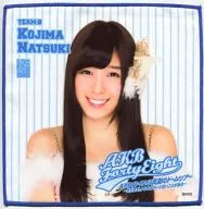 小嶋菜月 推しタオル 「AKB48 2013真夏のドームツアー～まだまだ、やらなきゃいけないことがある～」