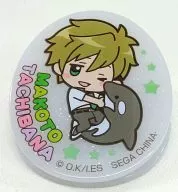 Makoto TACHIBANA Character Clip "Free! -Eternal Summer-"