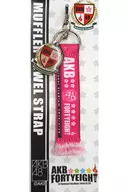 AKB48 Scarf Towel Strap (Pink) "AKB48 Solo & Group Spring Con in National Stadium - Leave all your memories here!"