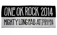 One Ok Rock Transverse Stadium 「 One Ok Rock 2014 "Mighty Long Fall at 」 Stadium"