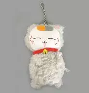 Nyanko-sensei (American Shorthair) Disfraz mascota "Ichiban KUJI Natsume Yujin-Cho ~ Pretty Dressing Nyanko-sensei ~" Premio E
