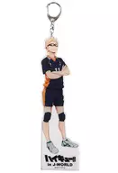 月岛萤亚克力挂件