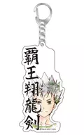 NISHINA KAZUKI (Haou SHORYUKEN) : THE LINE "KING OF PRISM -PRIDE the HERO -"