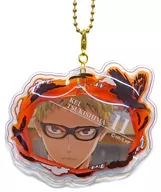 Hotaru Tsukishima "High Cue! Protect Clear Charm 2º Jogo"