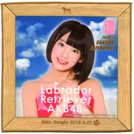 宮脇咲良(AKB48) 推しタオル 「ラブラドール・レトリバー」