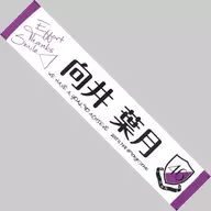 Hazuki Mukai (Nogizaka46) Recommended Men Muffler Towel "Midsummer National Tour 2017 FINAL!"