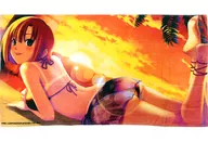 Rio(ビーチ) ボディタオル 「Rio de Carnival」