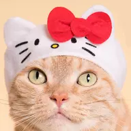 ハローキティ 「かわいい かわいい ねこのかぶりもの サンリオキャラクターズ」