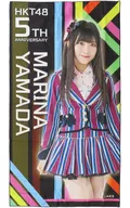山田麻莉奈 HKT48 5周年記念BIGタオル AKB48グループショップ予約限定
