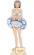 Suzukien Acrylic Stand Vol. 5 "CASE CLOSED"