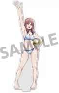 Haruka Ozora Suporte acrílico "Recepção de Haruka"