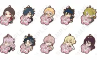 10-Variety Set "Continued TOUKEN RANBU HANAMARU Pipa Cholera Bar Strap, Part 1"
