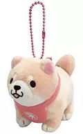 Sakuradachi Pose Plush toy BC 「 Tadainu Mochishiba 」