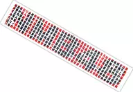 [単品] NMB48 マフラータオル 「NMB48 2019年 5000円福袋」 同梱品