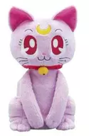 Portabotellas "Sailor Moon SuperS"
