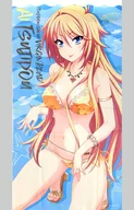 Tsujido Ai ver Big Towel "Tsujido san no Junai Road" Minato Toki Shop Event Winter no Jin goods