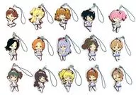 Conjunto de 15 tipos "Idlemaster Cinderella Girls Dereva 4 thLive ver. Passion BOX"